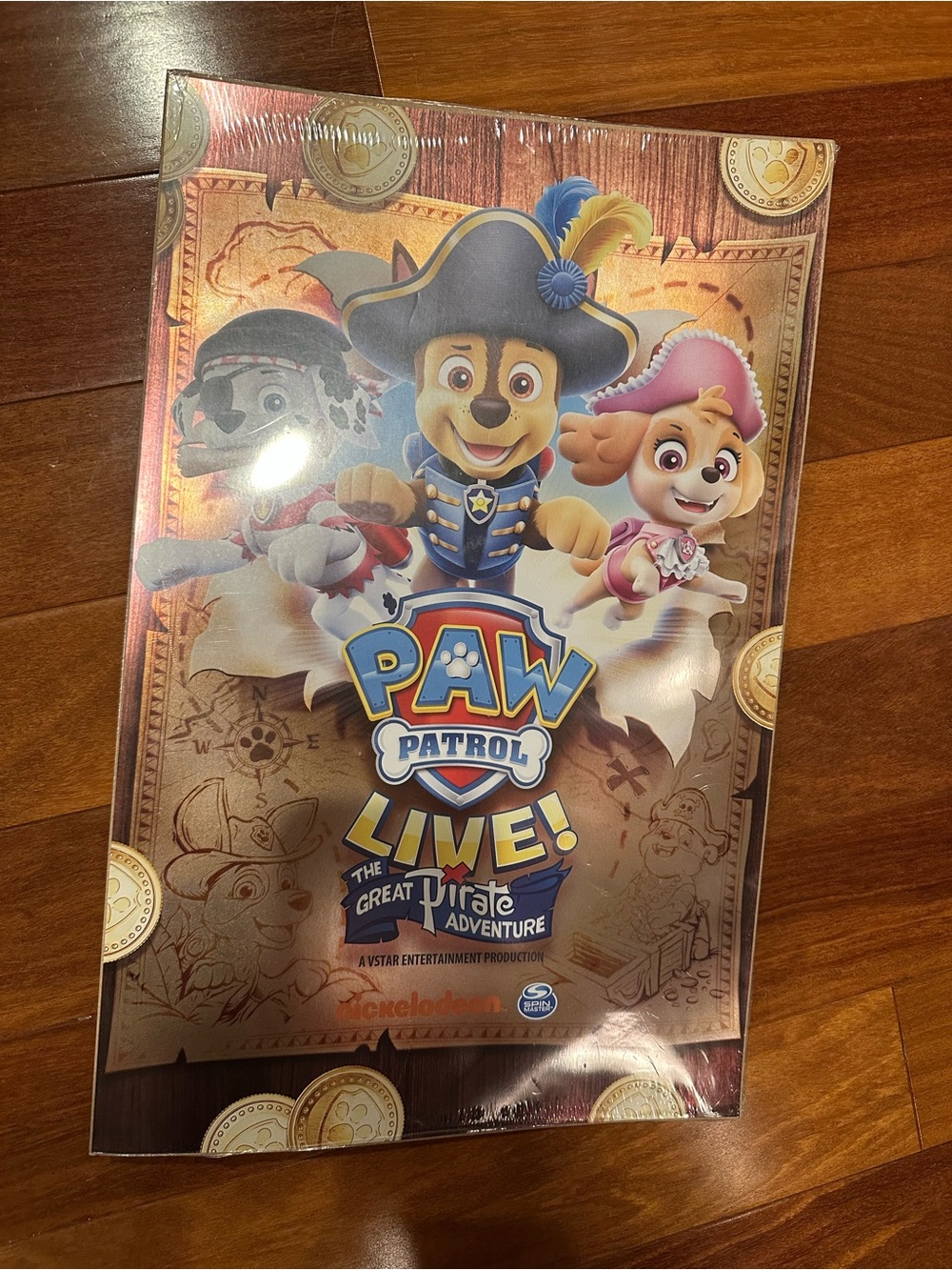 Paw Patrol Live! The Great Pirate Adventure Poster – Blue, Yellow, Pink, Brown
